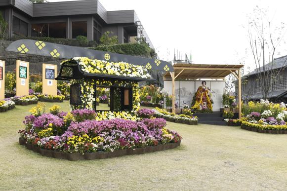 仙巌園 菊まつり-8