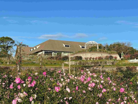 【2025】かのやばら祭り2025秋-1