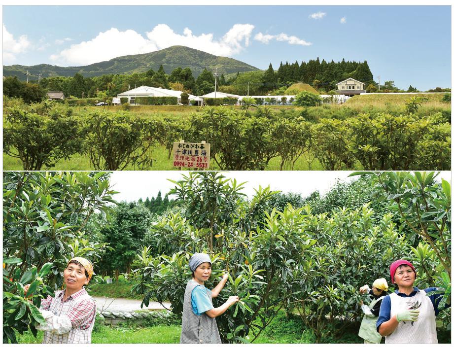 十津川農場-1