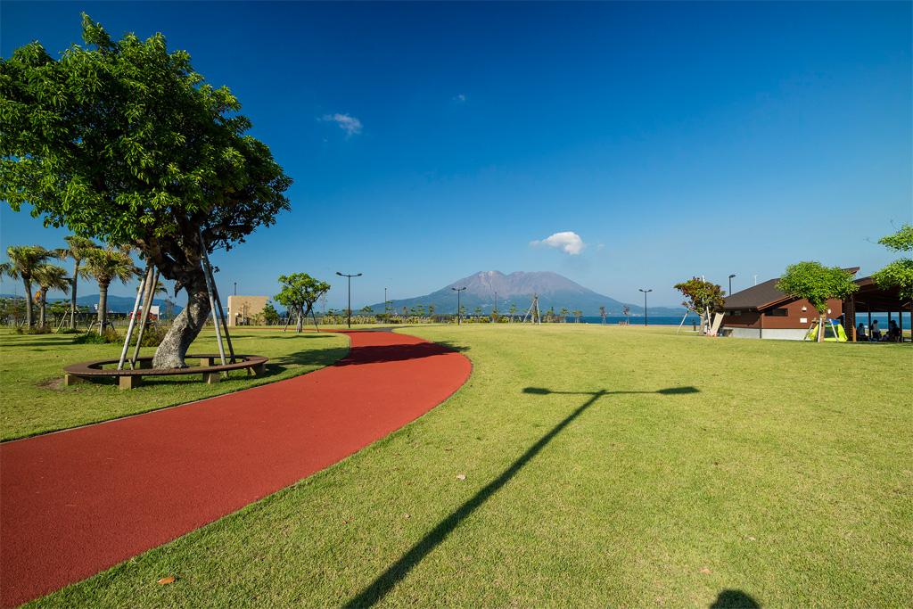 Marine port 鹿兒島碼頭-3