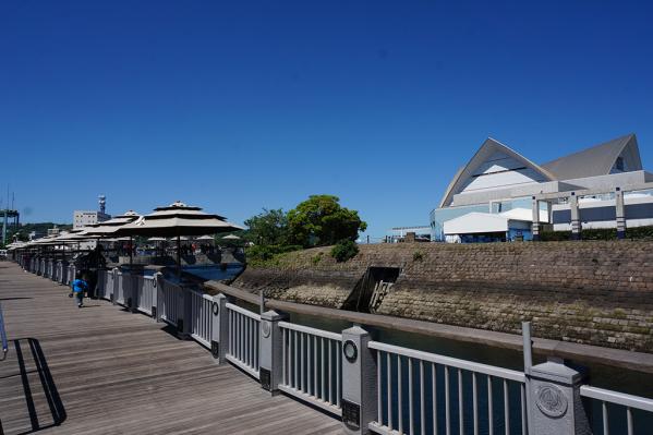 鹿兒島水族館 海豚水路-6