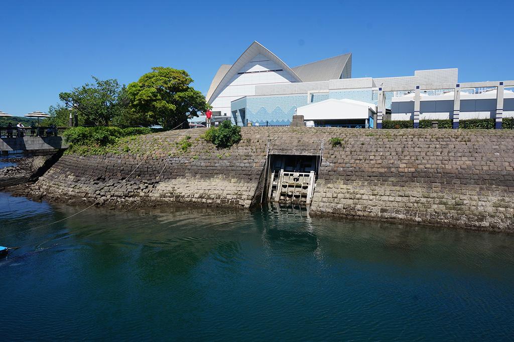 イルカ水路（いおワールドかごしま水族館）-7