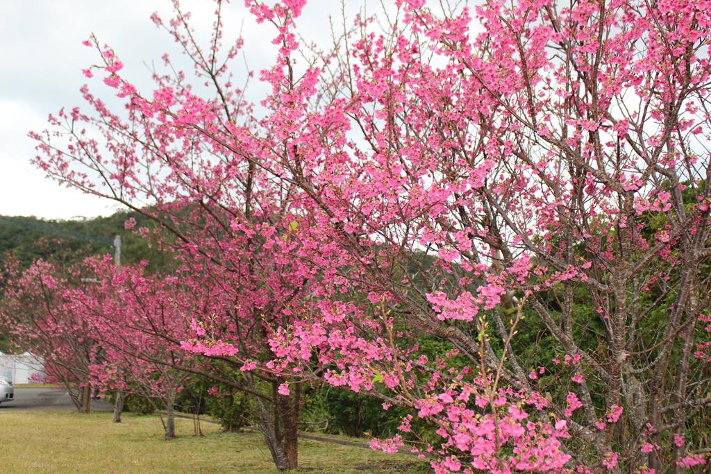 須野ダム-1