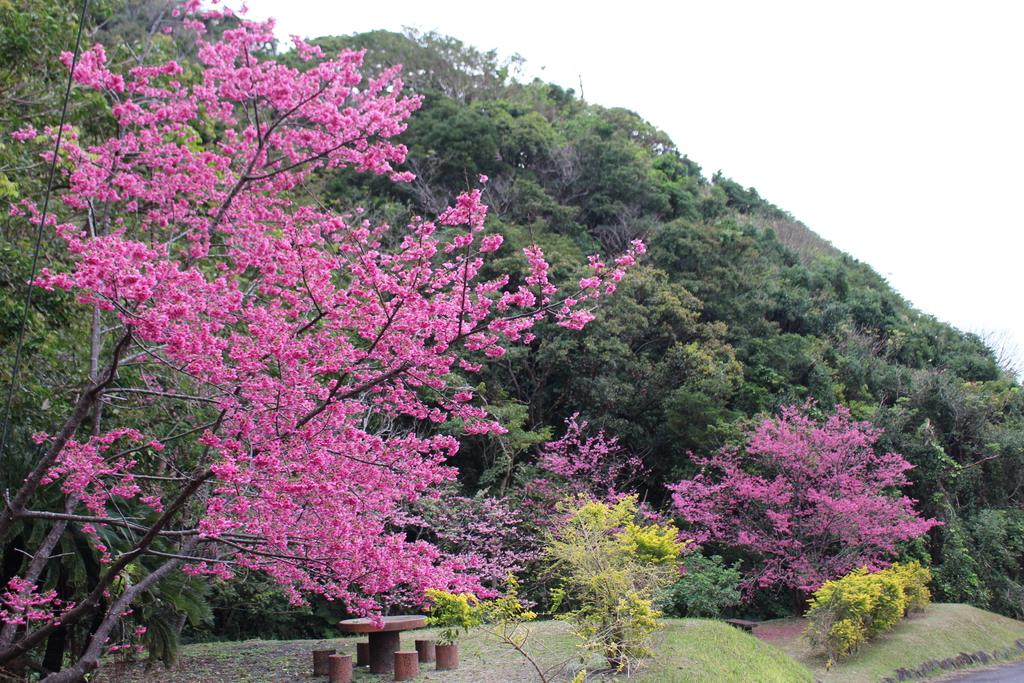 요 전망대-0