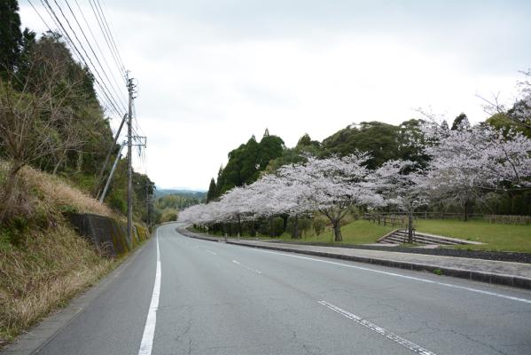 県道徳重横井鹿児島線（206号）-6