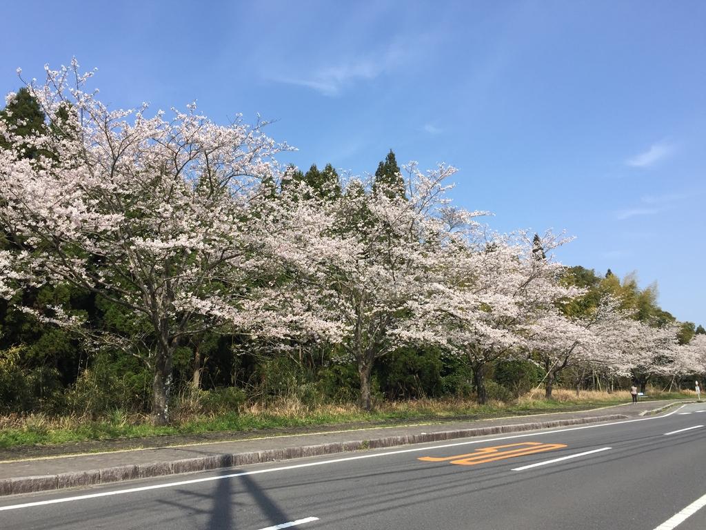 県道徳重横井鹿児島線（206号）-1