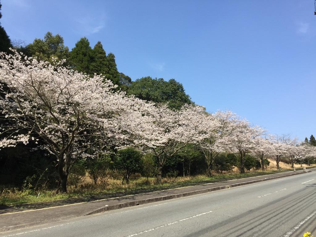 県道徳重横井鹿児島線（206号）-1