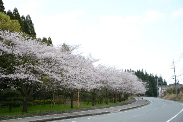 県道徳重横井鹿児島線（206号）-5