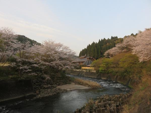 せせらぎの湯　花水木-7