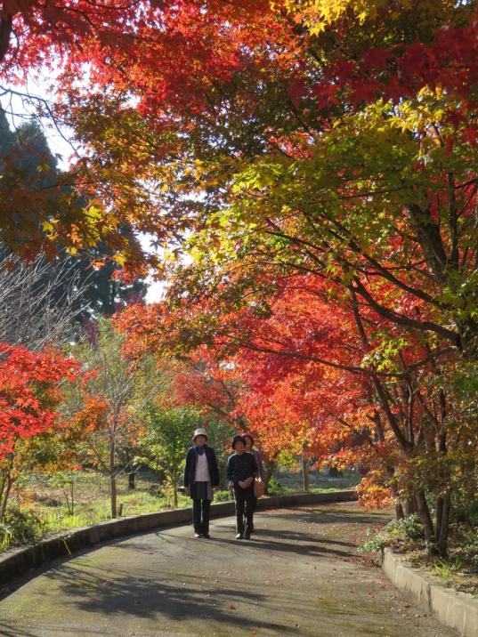 せせらぎの湯　花水木-8