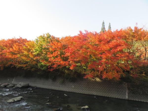 せせらぎの湯　花水木-5