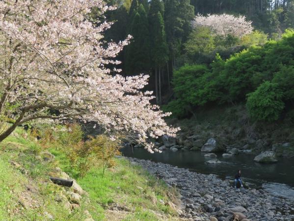 せせらぎの湯　花水木-1