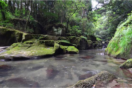 関吉の疎水溝-0