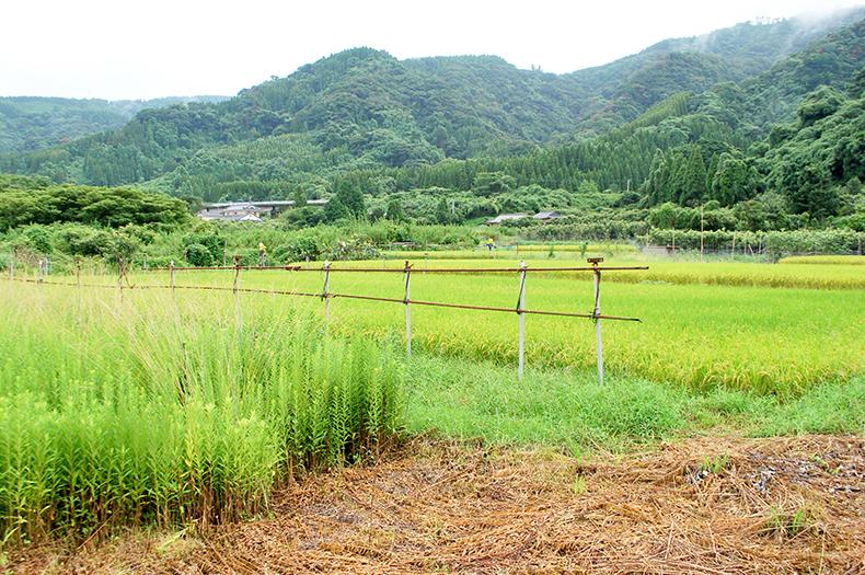 牛根造船所跡-0