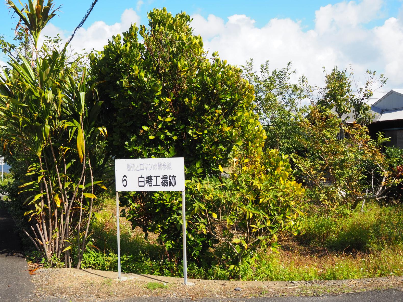 瀬留白糖製造工場跡-1