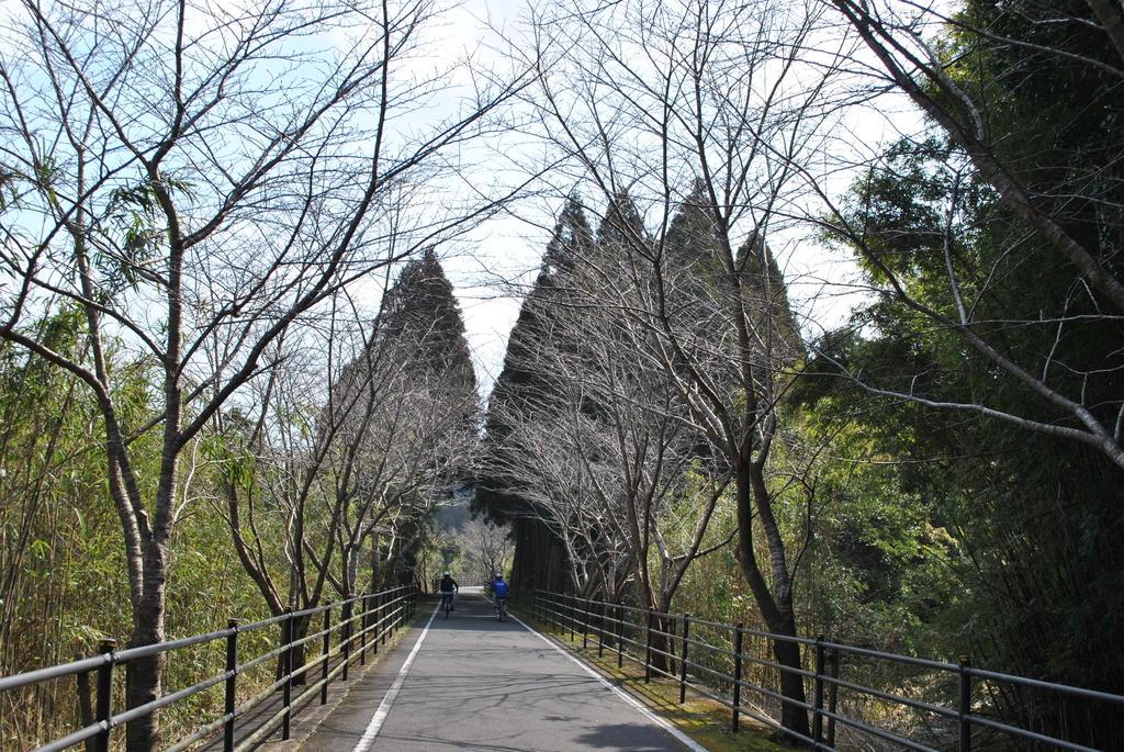 自由自在畅游绝景穿越历史街道-9