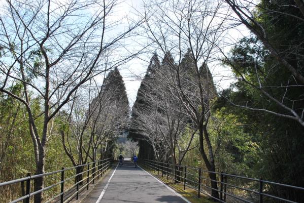 自由自在畅游绝景穿越历史街道-9