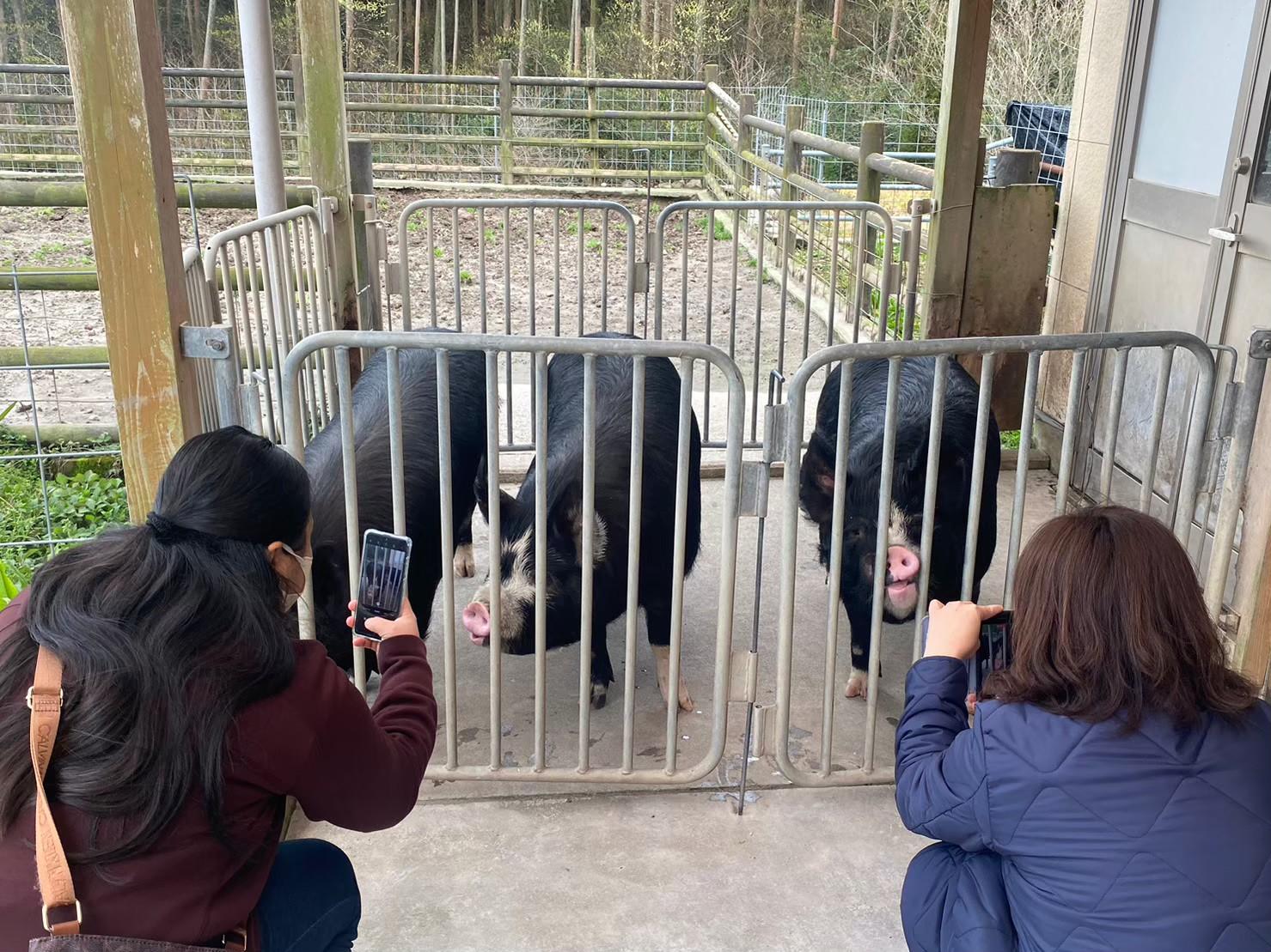 Experiencing the vegetables of Kagoshima’s soil!-5