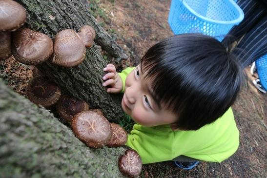 Experiencing the vegetables of Kagoshima’s soil!-9