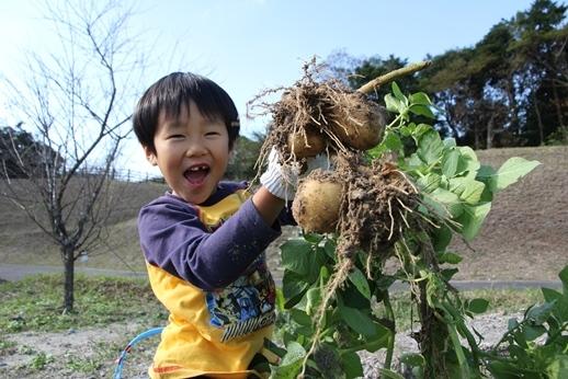 Experiencing the vegetables of Kagoshima’s soil!-8