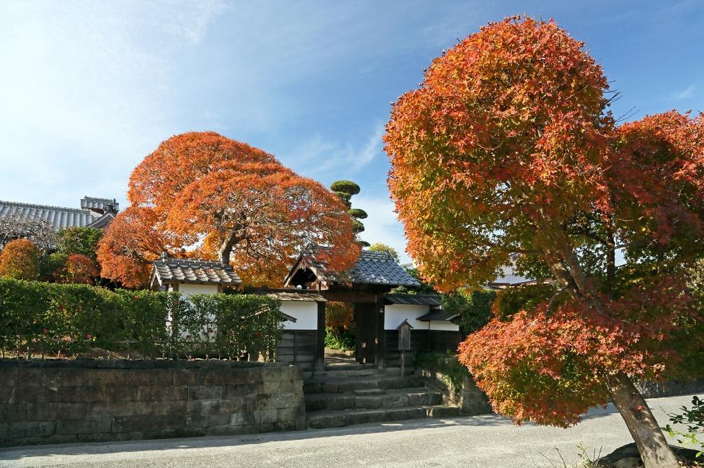 出水麓武家屋敷群・公開武家屋敷「税所邸」-1