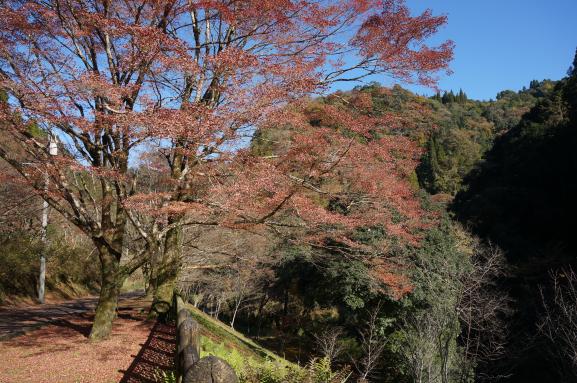 新川渓谷周辺-5