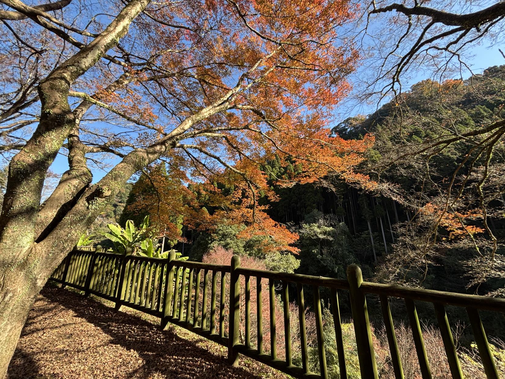 新川渓谷周辺-1