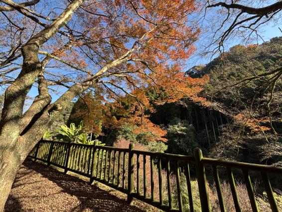 新川渓谷周辺-0