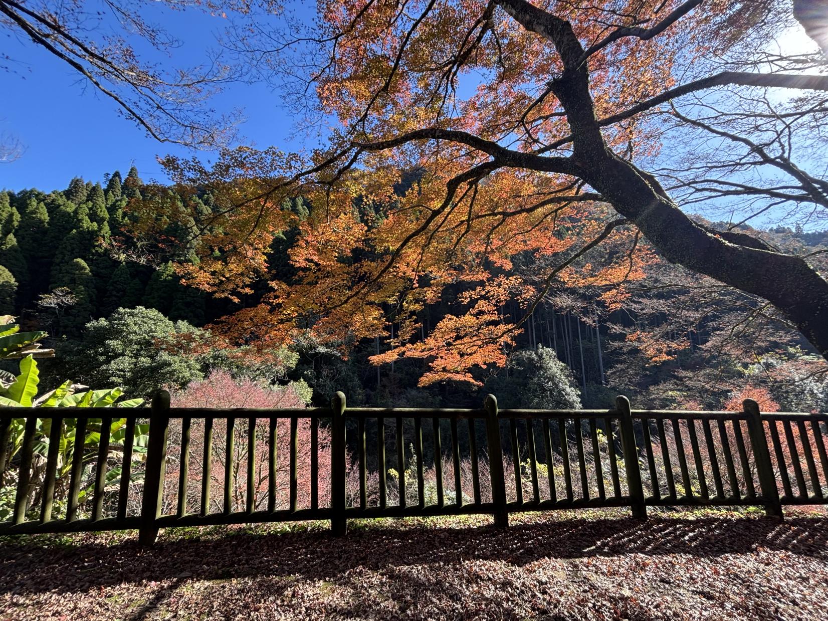 新川渓谷周辺-2