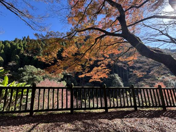 新川渓谷周辺-2