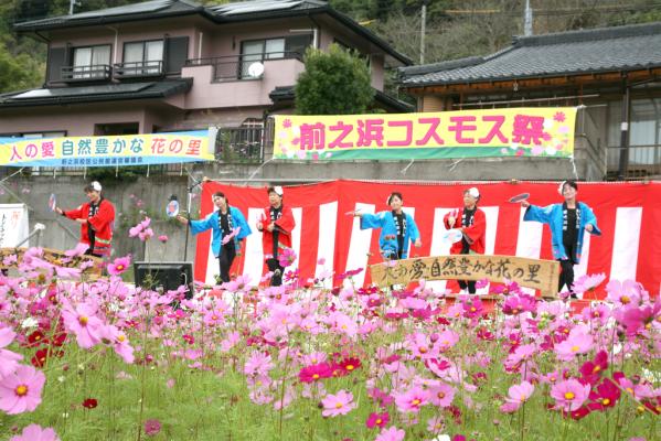【2024】第16回 コスモス祭り in 喜入前之浜町-1