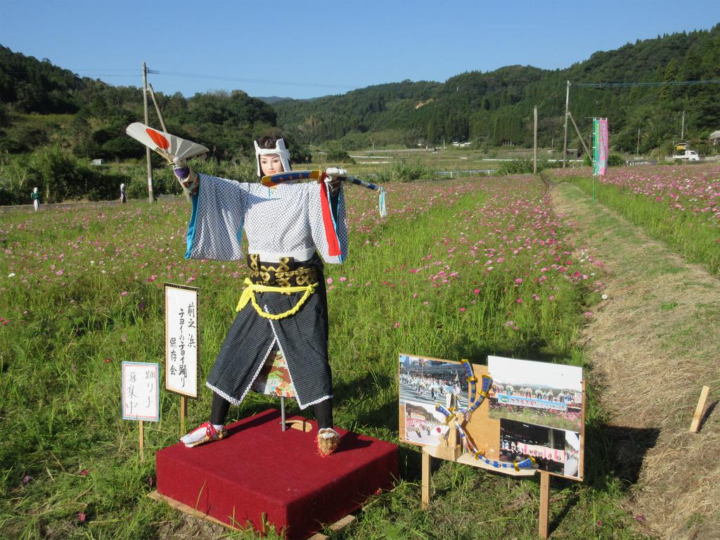 【2024】第16回 コスモス祭り in 喜入前之浜町-4