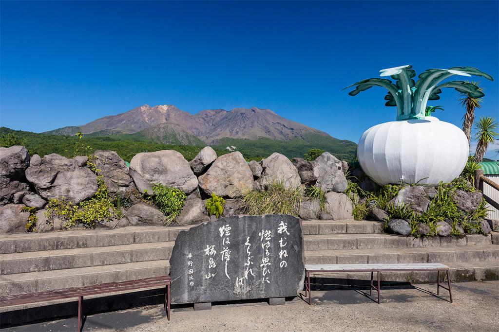 桜島物産館展望台-1