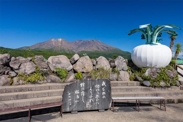 桜島物産館展望台-0