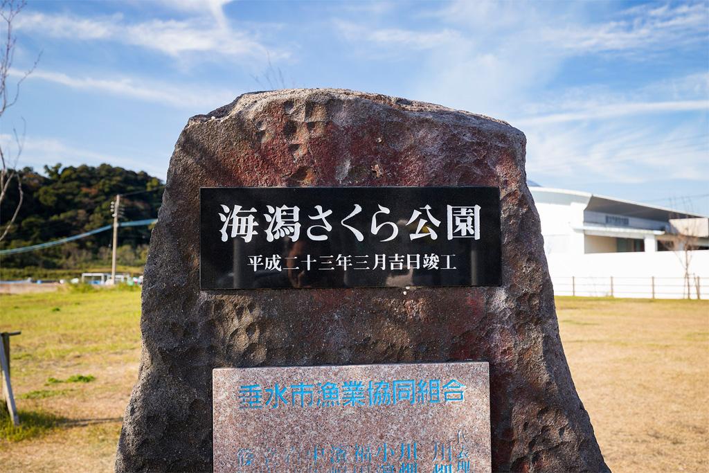 海潟さくら公園・ホタル公園-1