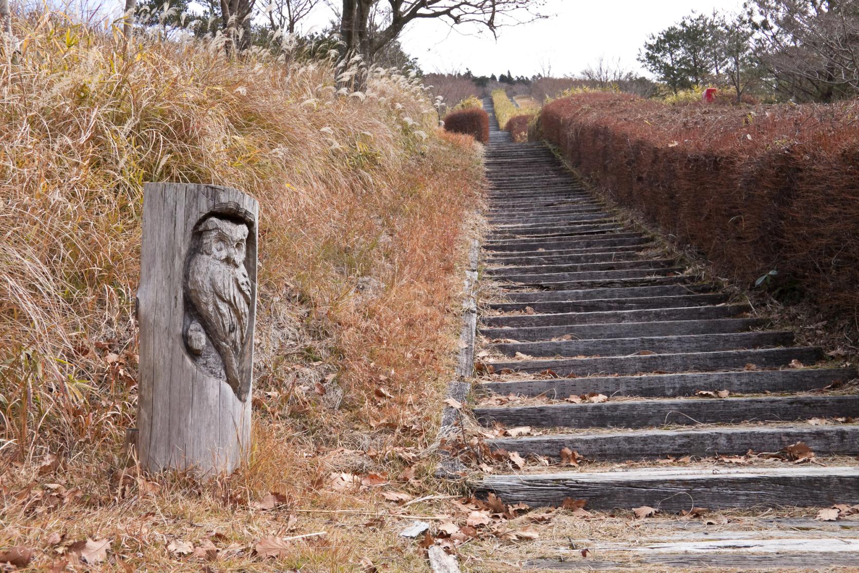 栗野岳枕木台階-9