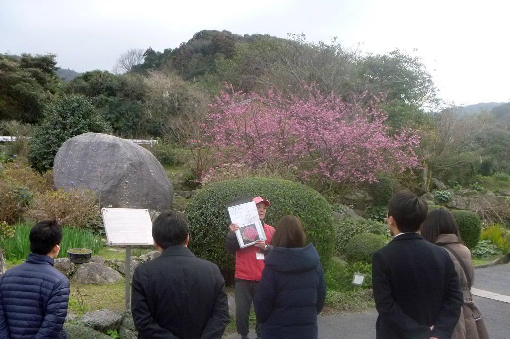 屋久島里めぐり推進協議会 / 屋久島町-4