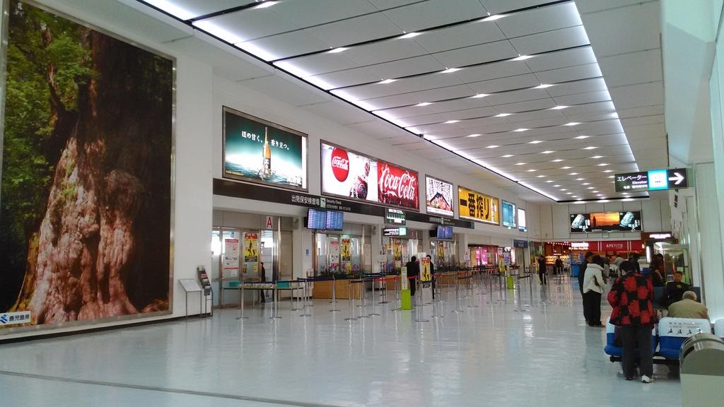 Kagoshima Airport-1