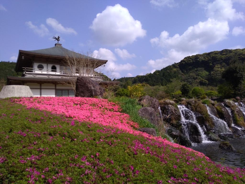 Café Sakura no Yakata-6