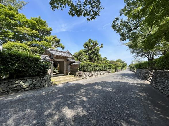 【2023】出水麓武家屋敷群で！薩摩の郷土菓子あくまきと出水の新茶のおもてなし-2