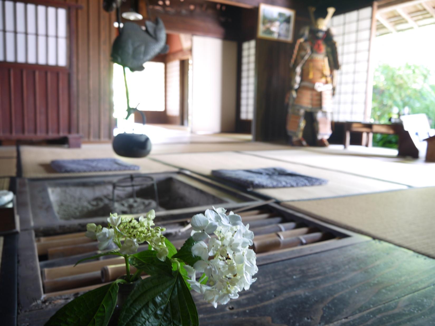 【2023】出水麓武家屋敷群で！薩摩の郷土菓子あくまきと出水の新茶のおもてなし-1