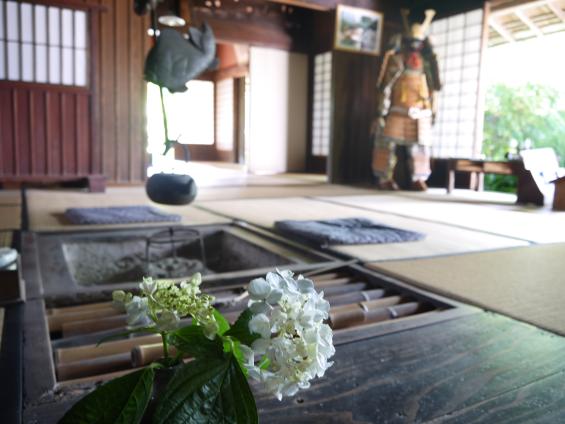 【2023】出水麓武家屋敷群で！薩摩の郷土菓子あくまきと出水の新茶のおもてなし-1