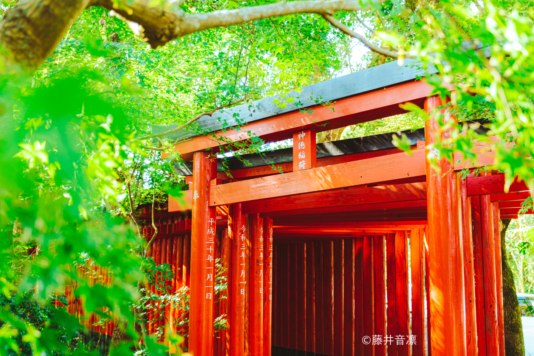 Jintoku Inari Shrine-2