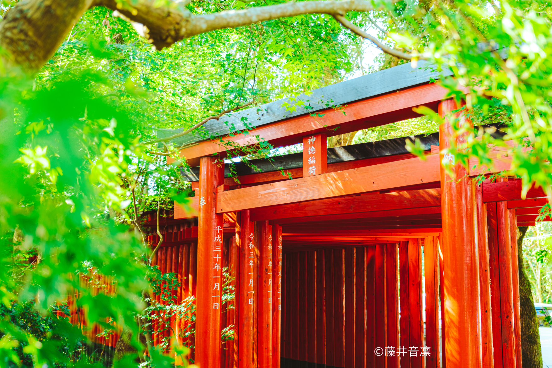 神德稻荷神社-2