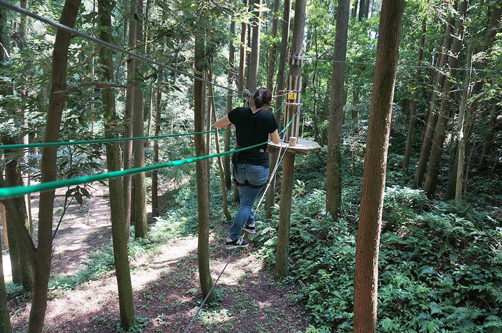 Forest Adventure Osumi-2