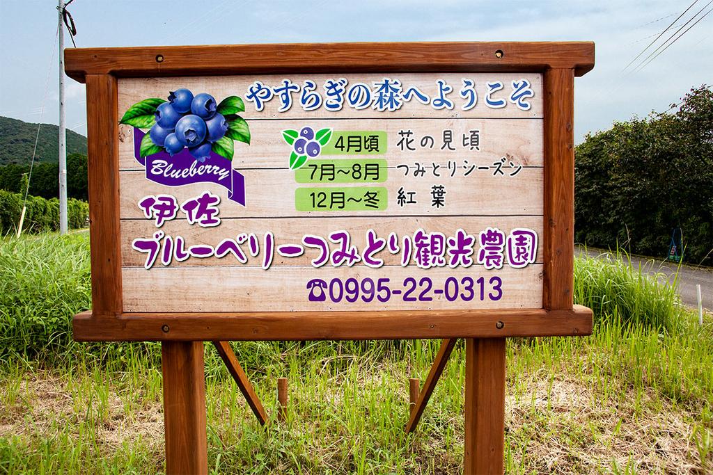 Isa Blueberry Tourist Farm-7