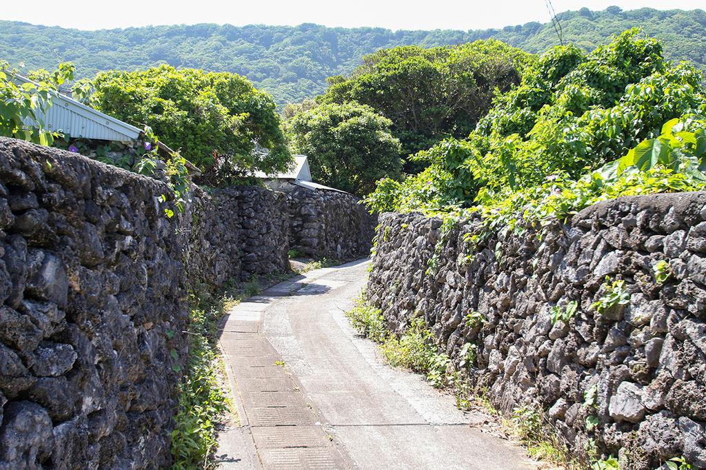 산호의 돌담-0