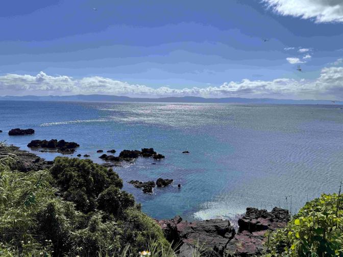 ユクサおおすみ海の学校-8