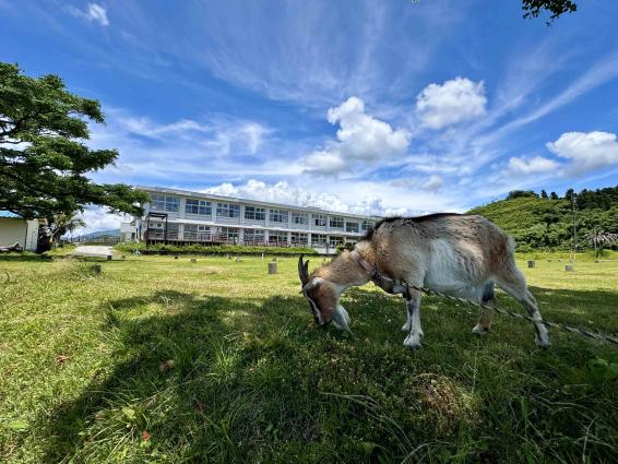 ユクサおおすみ海の学校-9