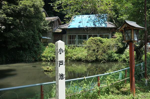 檍神社-4